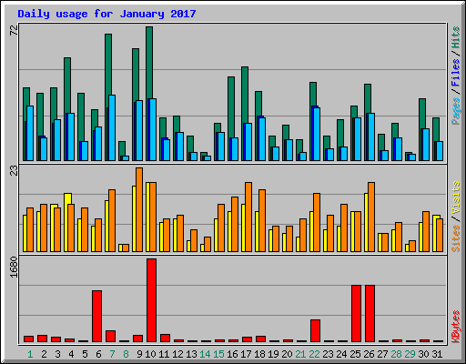 Daily usage for January 2017