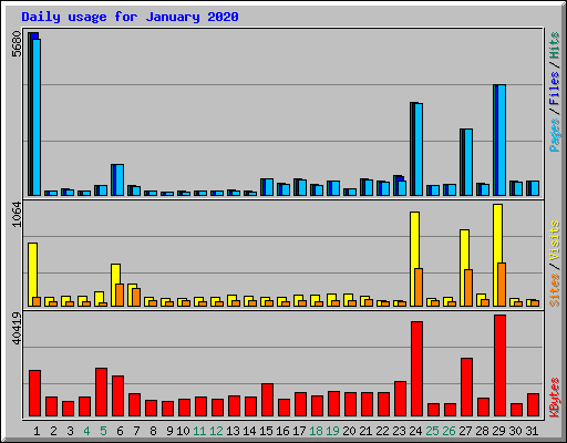 Daily usage for January 2020