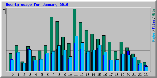Hourly usage for January 2016