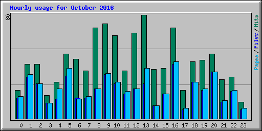 Hourly usage for October 2016