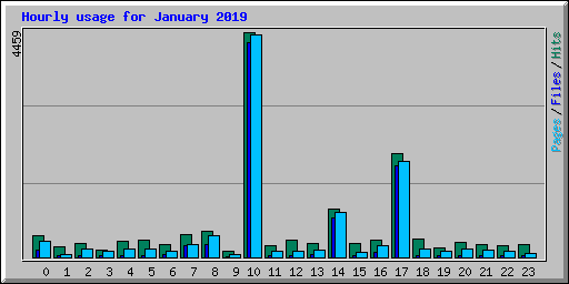 Hourly usage for January 2019