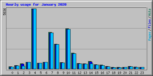 Hourly usage for January 2020