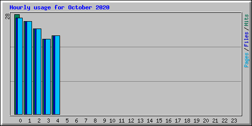 Hourly usage for October 2020