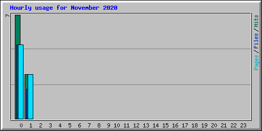 Hourly usage for November 2020